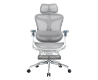 Sihoo DORO C300 Pro Mesh biały - 1542249 - zdjęcie 1